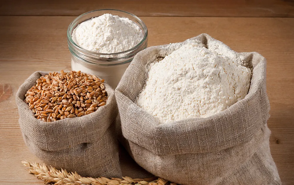 Industrial mixer for flour processing